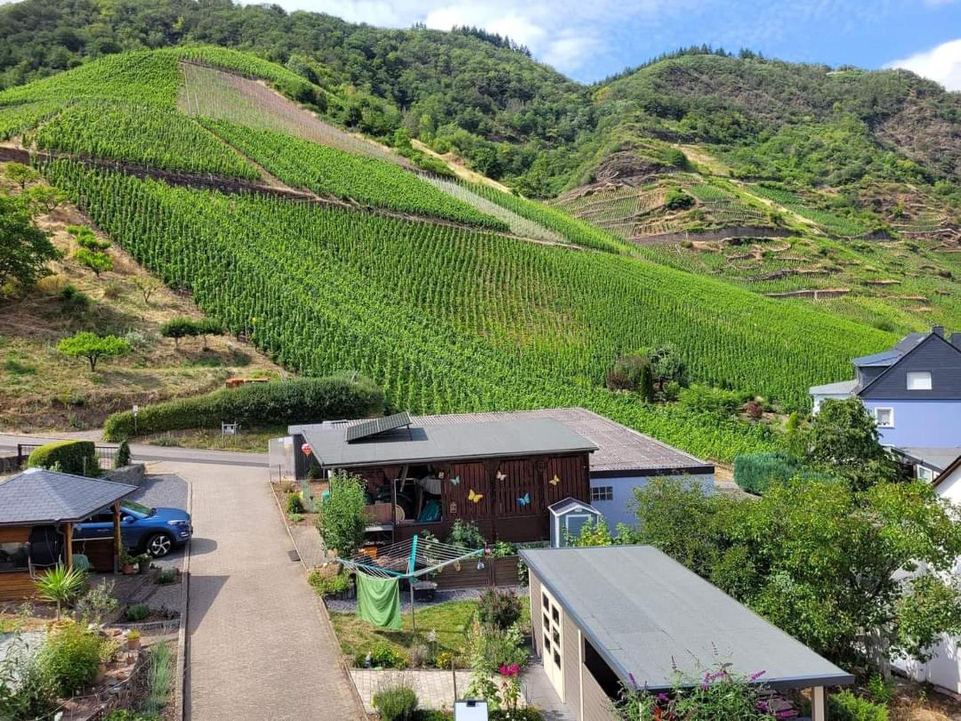 Ferienwohnung Haus Am Calmont Bremm Eksteriør billede